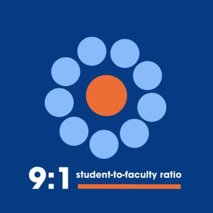 An image showing 9:1 student-to-faculty ratio