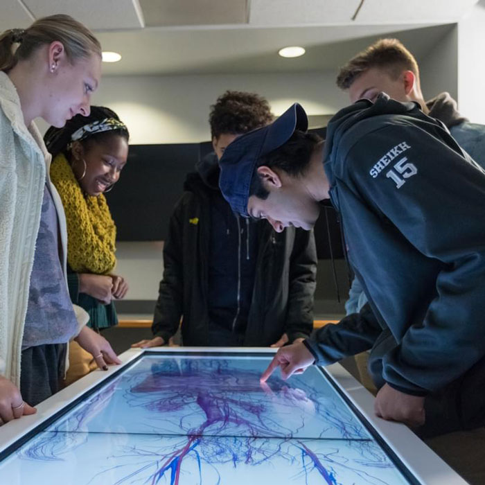 Students working together at an Anatomage table