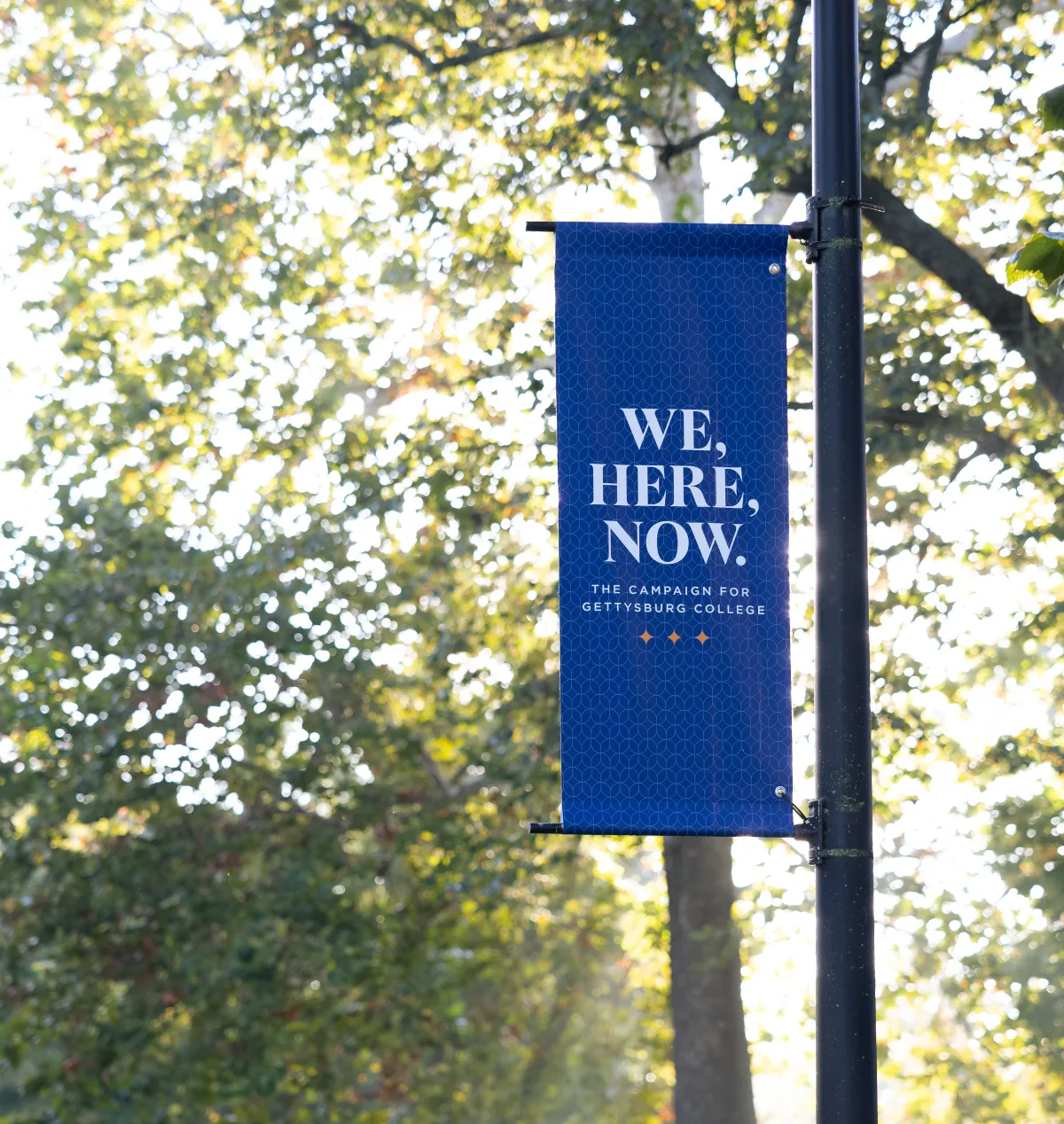 Campaign lightpole banner