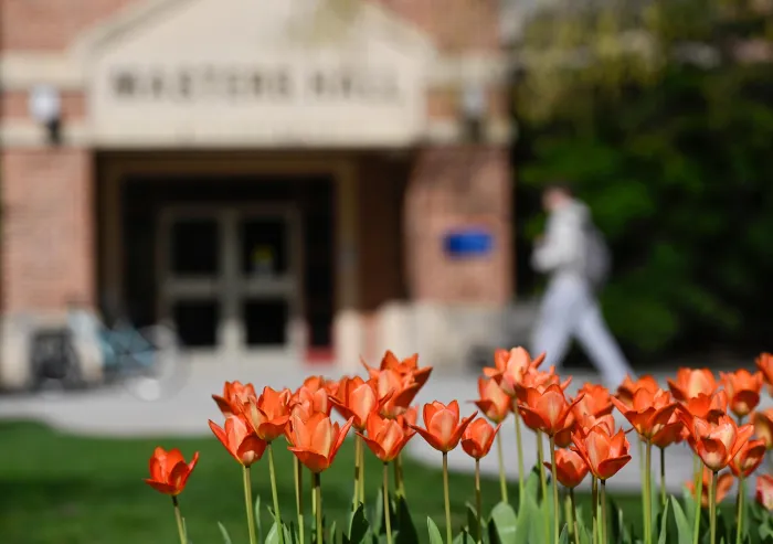 flowers in the foreground