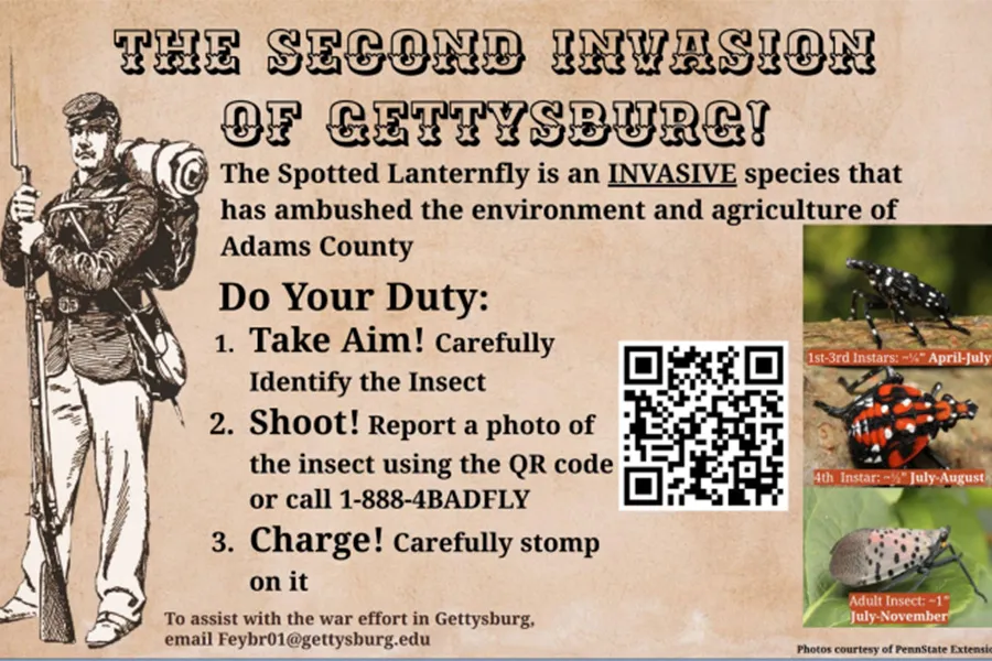 Spotted Lanternfly poster