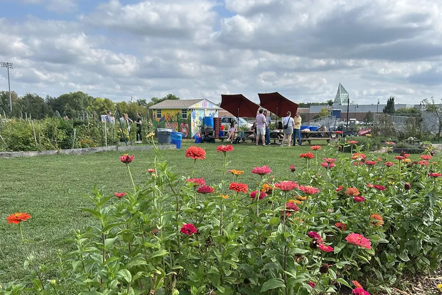 The Center for Public Service held an alumni reception at Painted Turtle Farm.