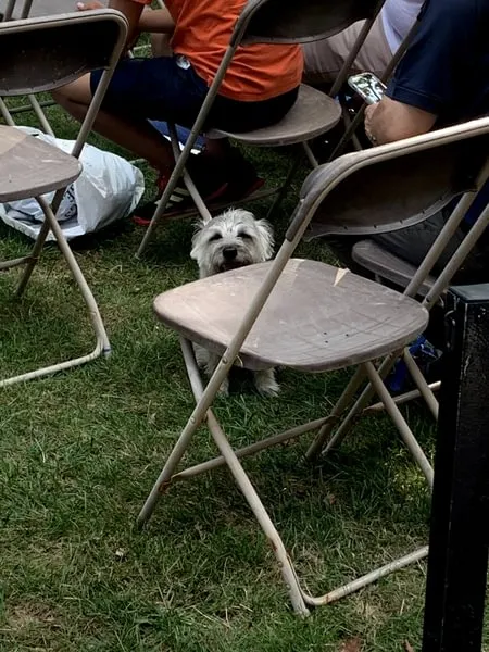 Roxy attends Opening Convocation.