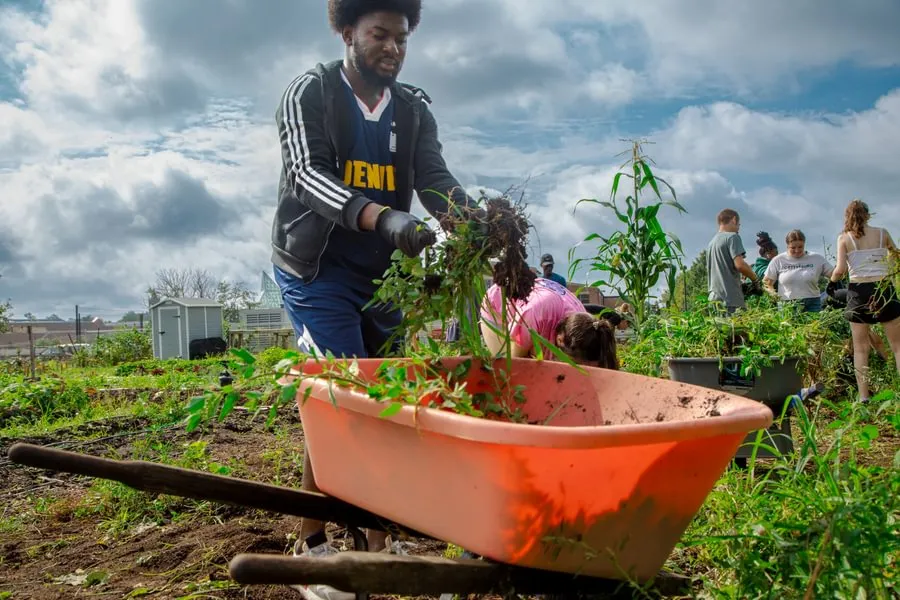 Student helps with garden cleanup at Painted Turtle Farm during GIV Day 2023.