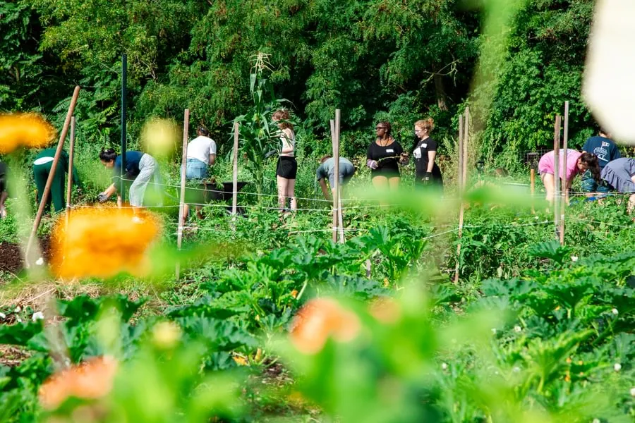 Students help community members grow food at Painted Turtle Farm.