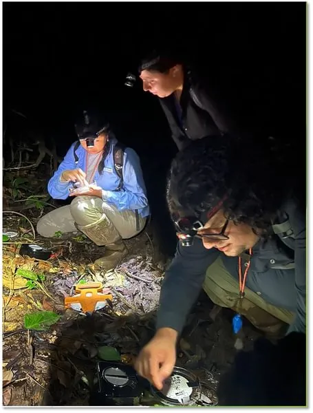 Gettysburg College students conduct field research through an expedition to the tropics led by Biology Prof. Alex Trillo..