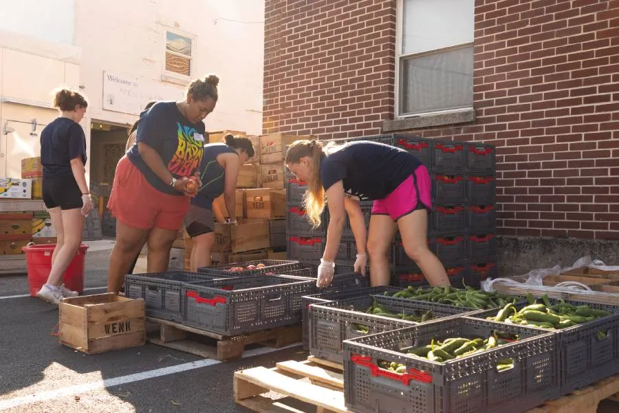 group of students work with produce in crates outside