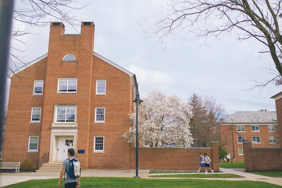 photo of residence hall with blooming tree next to it