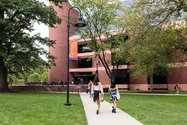 Students walking toward the library on a tree-lined path.