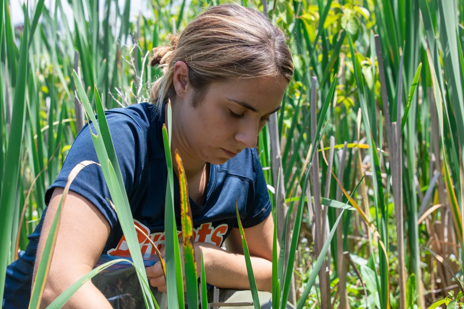 student collecting samples outdoors