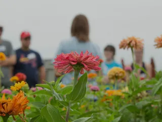 Students and colorful flowers in a garden.