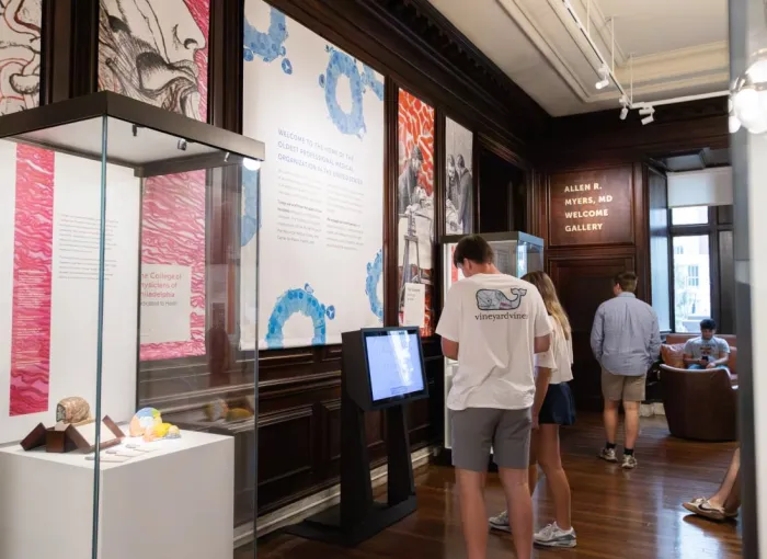 at the museum
