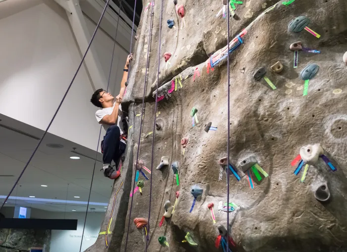 Climbing wall