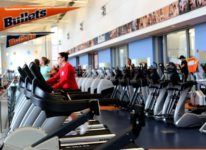 Wellness Program