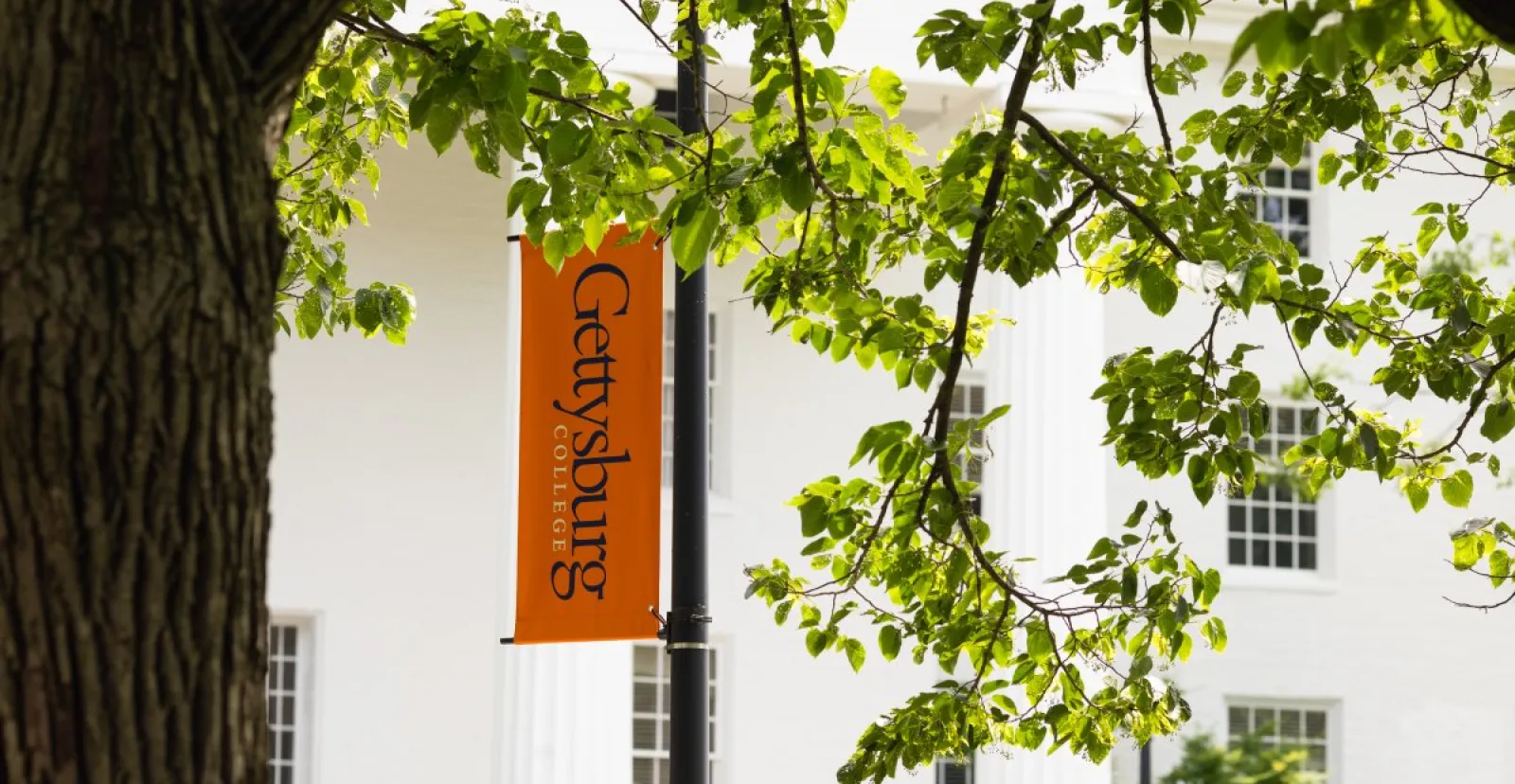 Gettysburg College lightpole banner