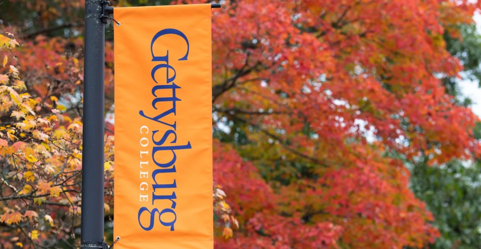 Gettysburg College lightpole banner with brilliant fall foliage in background