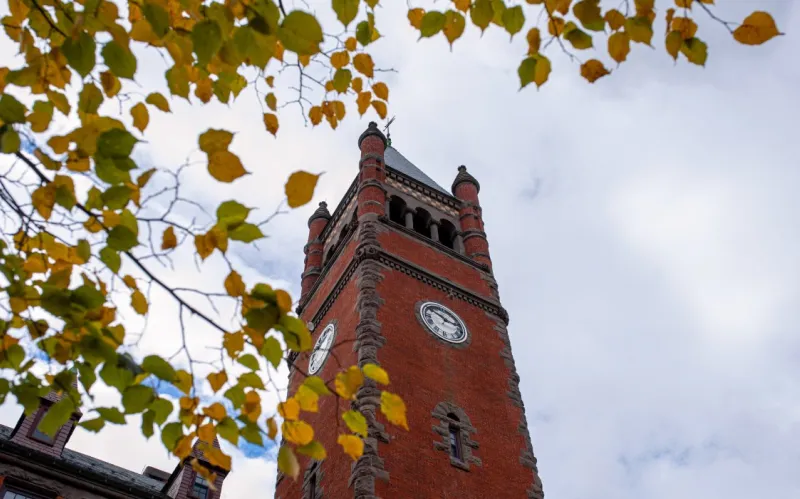 Fall Scenics