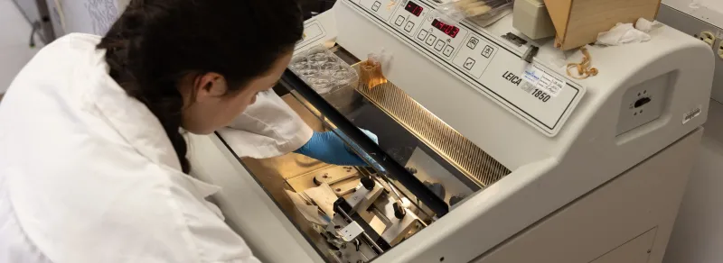using lab equipment
