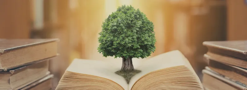 bonsai in a book